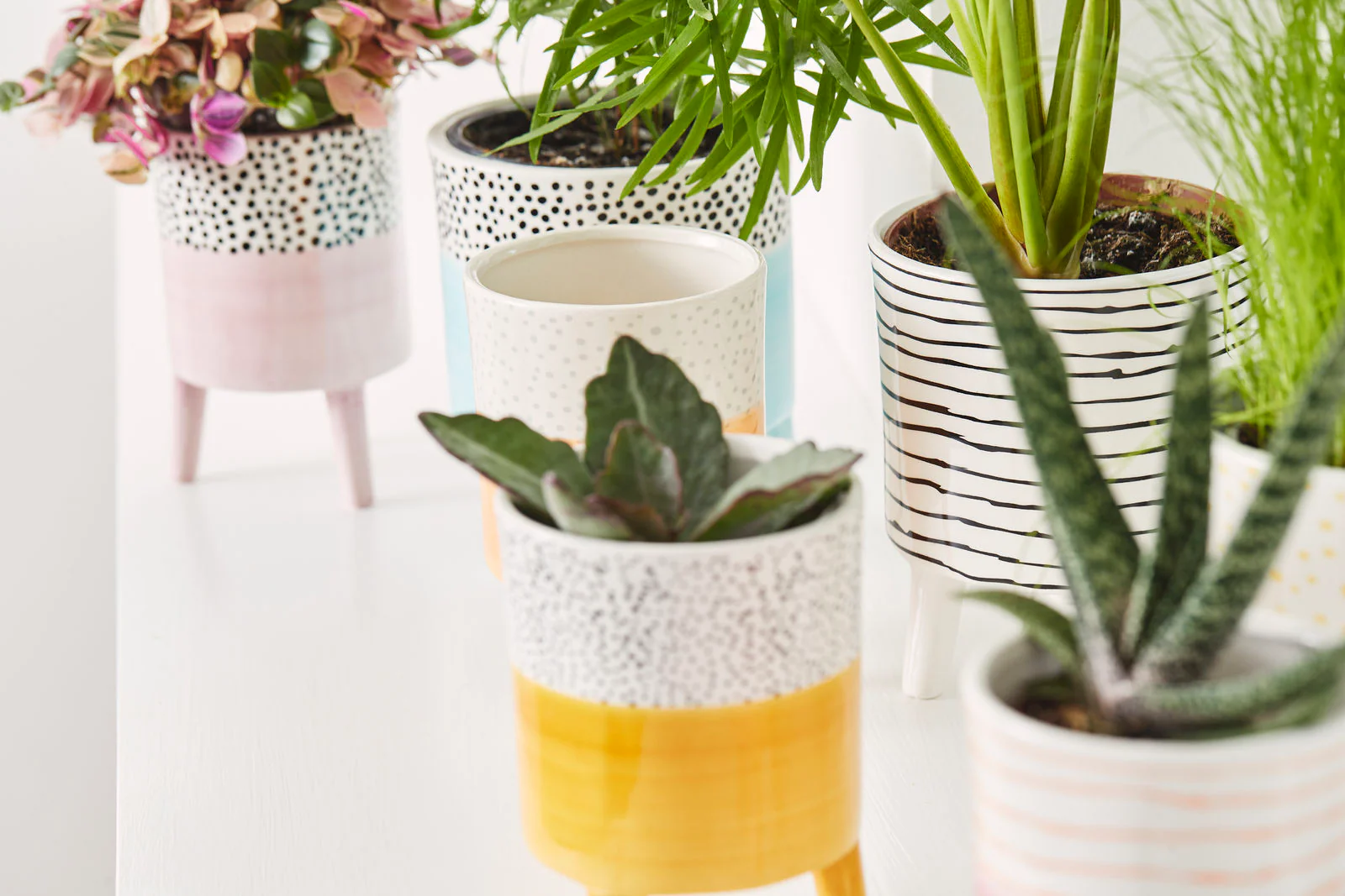 Bahne Ceramic Planter Spotty Orange - Image 6