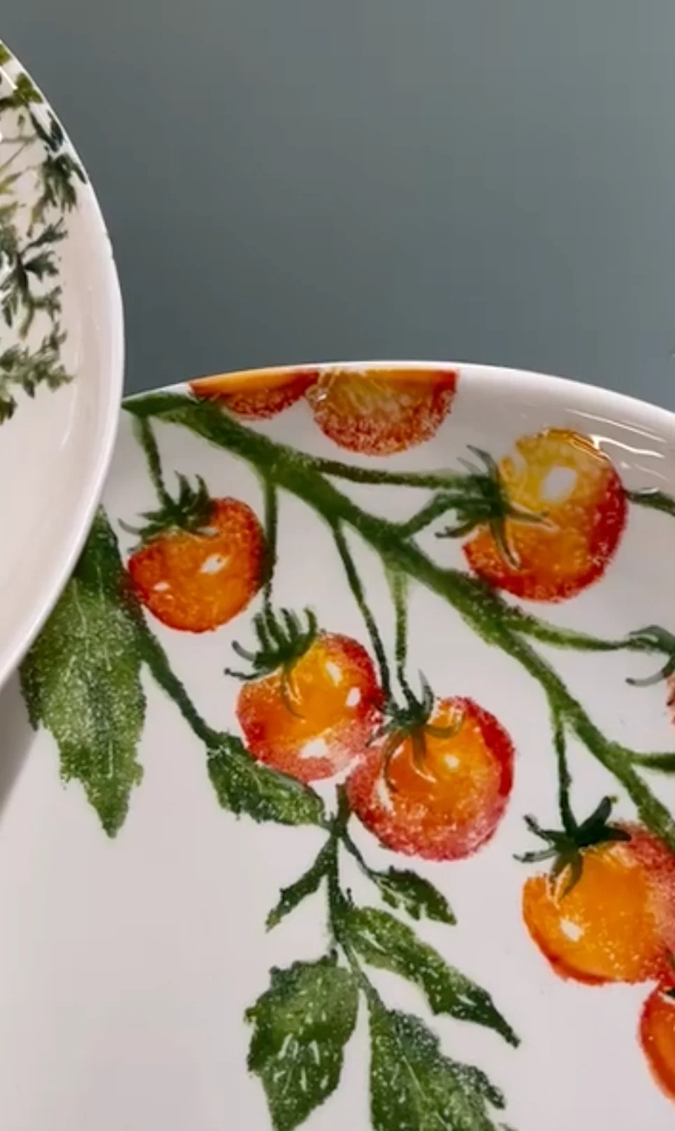 Bliss Home Supper Bowl, Vine Tomatoes - Image 7