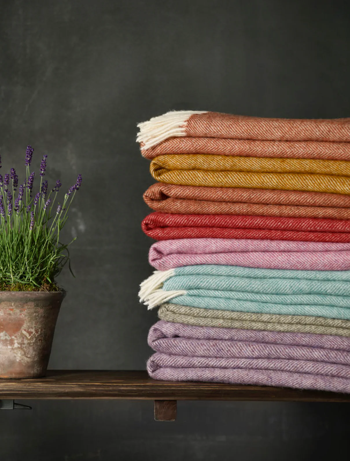 Bronte By Moon Herringbone Pure New Wool Throw, Sugared Almond - Image 5