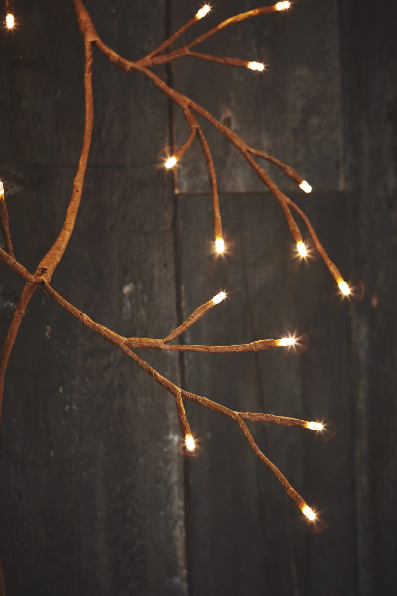 Dual Powered LED Ivy Fairy Light, Brown - Image 2