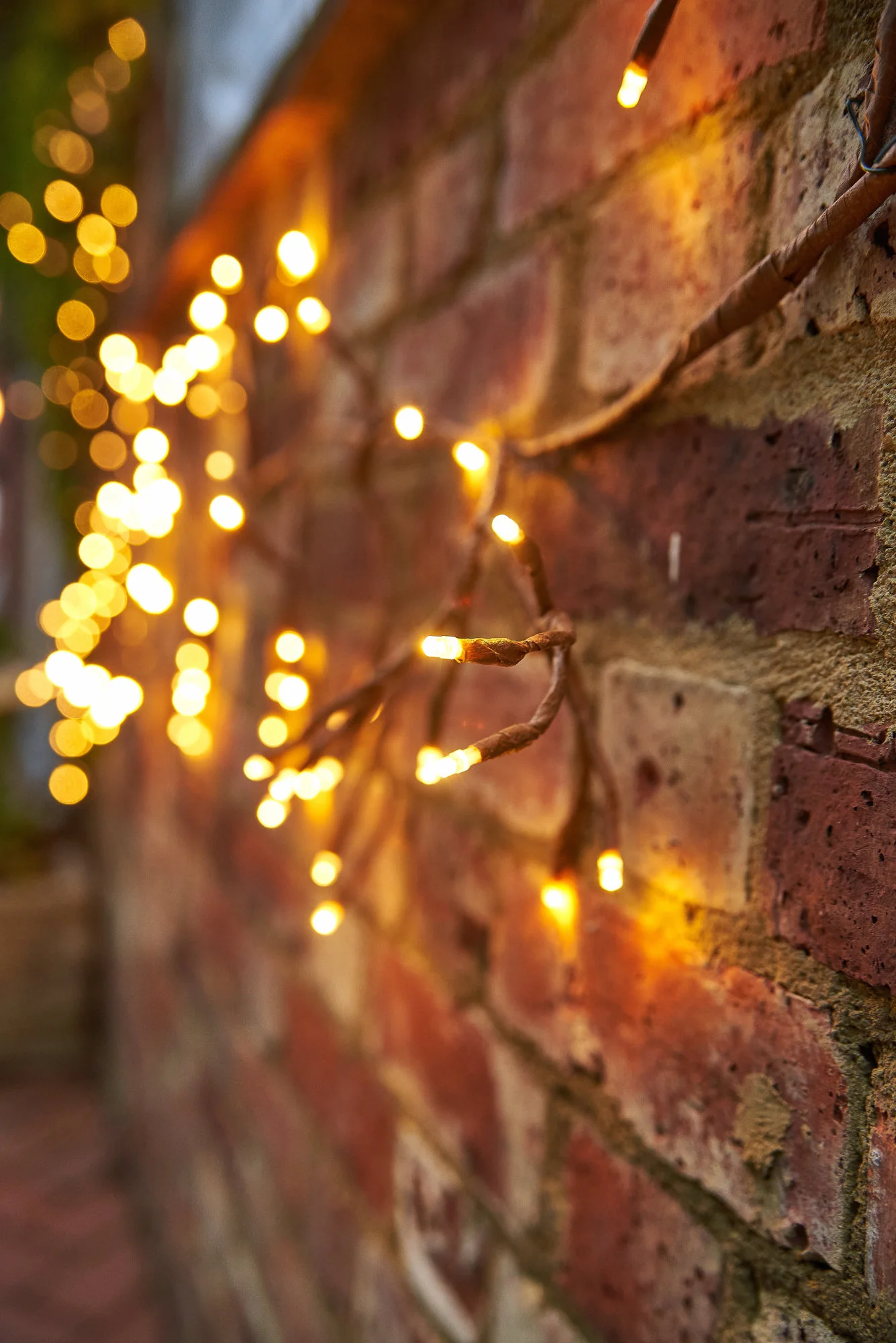 Dual Powered LED Ivy Fairy Light, Brown - Image 6