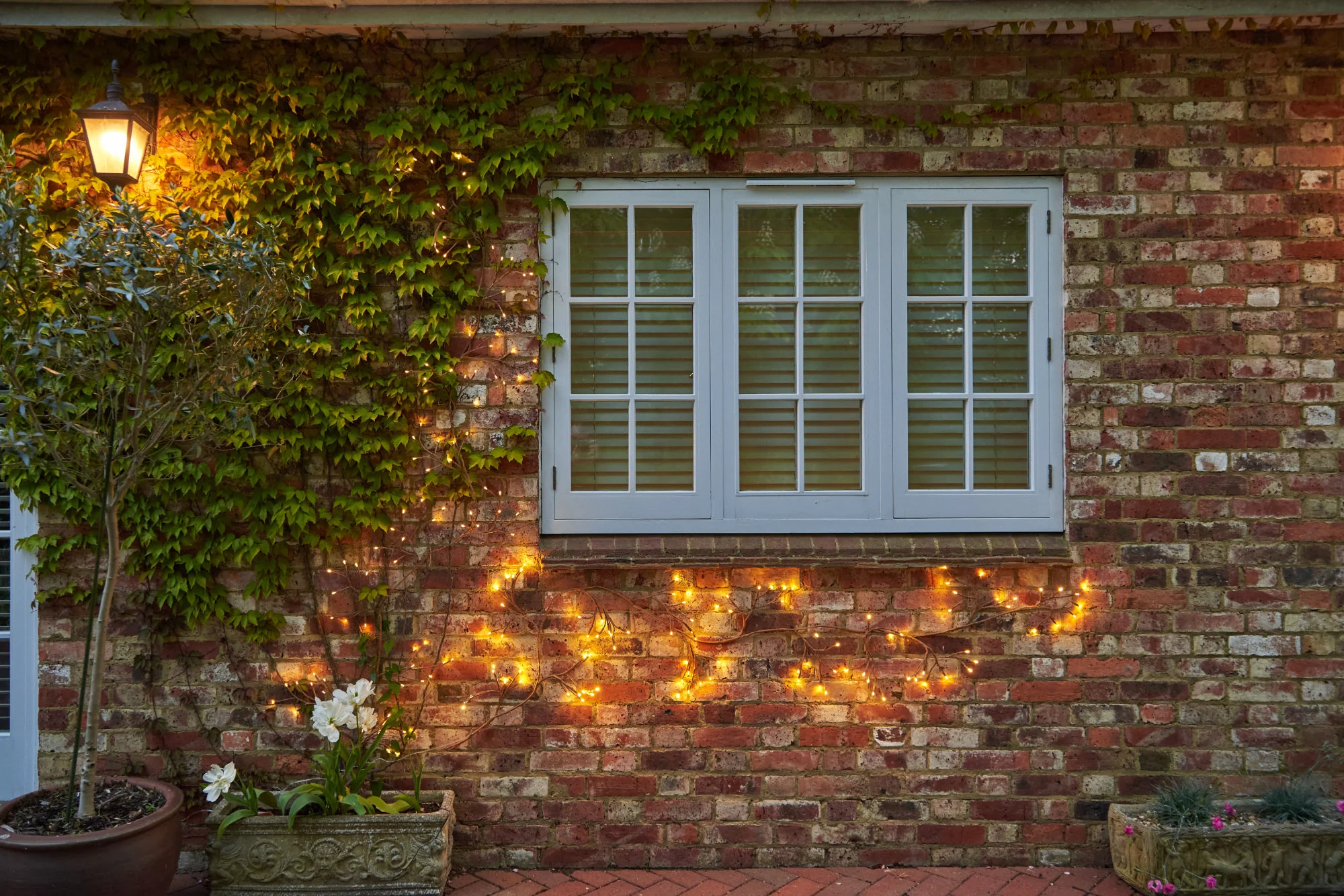 Dual Powered LED Ivy Fairy Light, Brown - Image 7