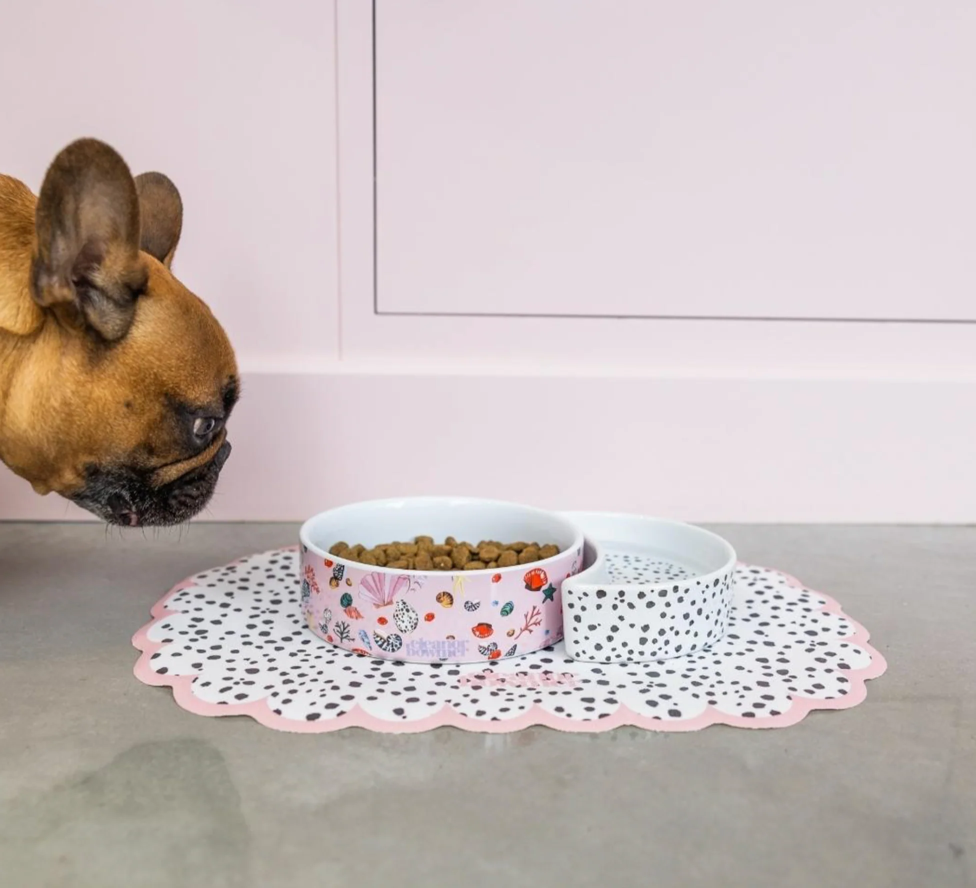 Eleanor Bowmer Ceramic Half Moon Pet Bowl, Miami Shells (Set Of 2) - Image 6