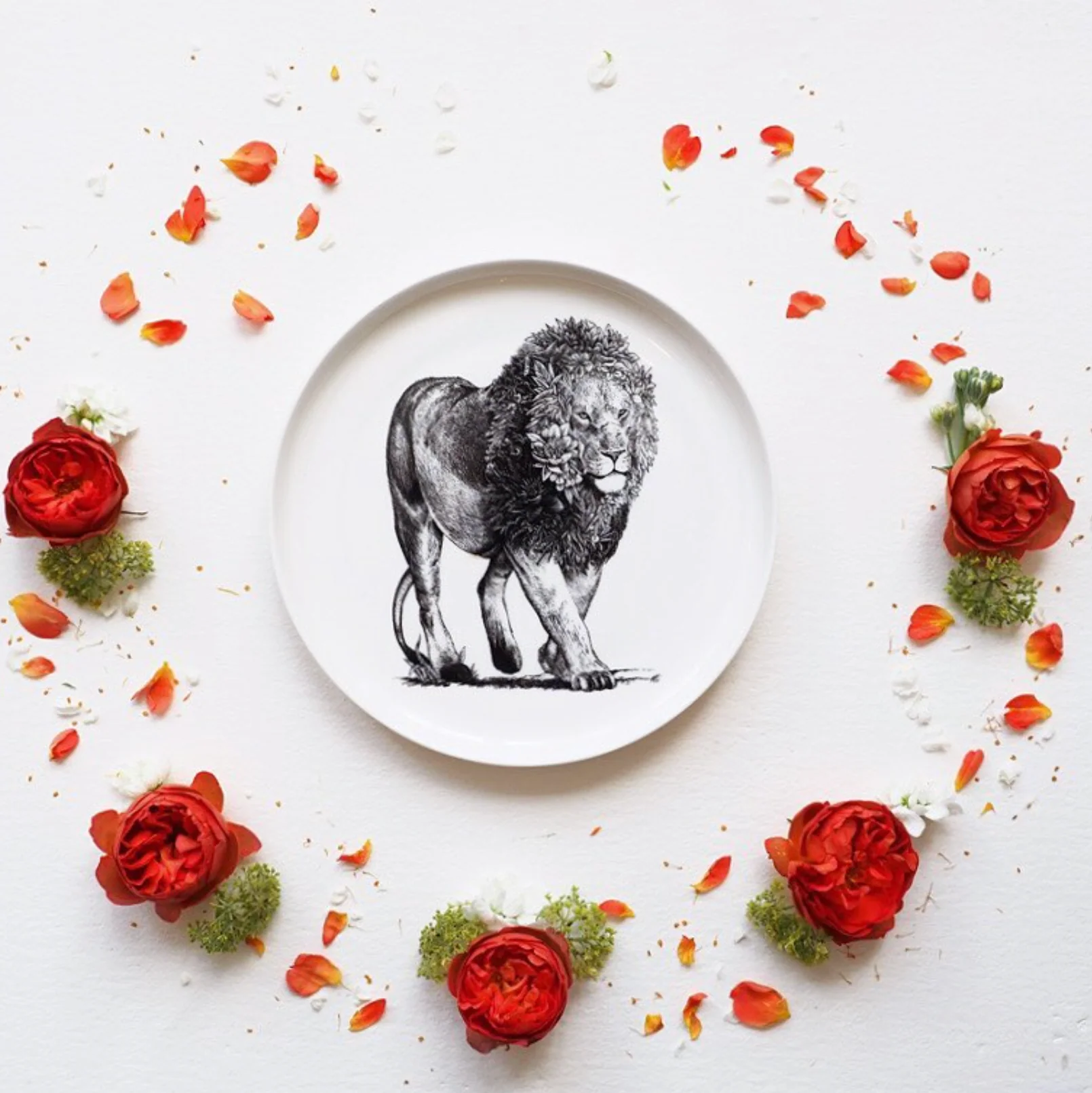 Maxwell & Williams Marini Ferlazzo Wildlife Side Plate, African Lion - Image 3