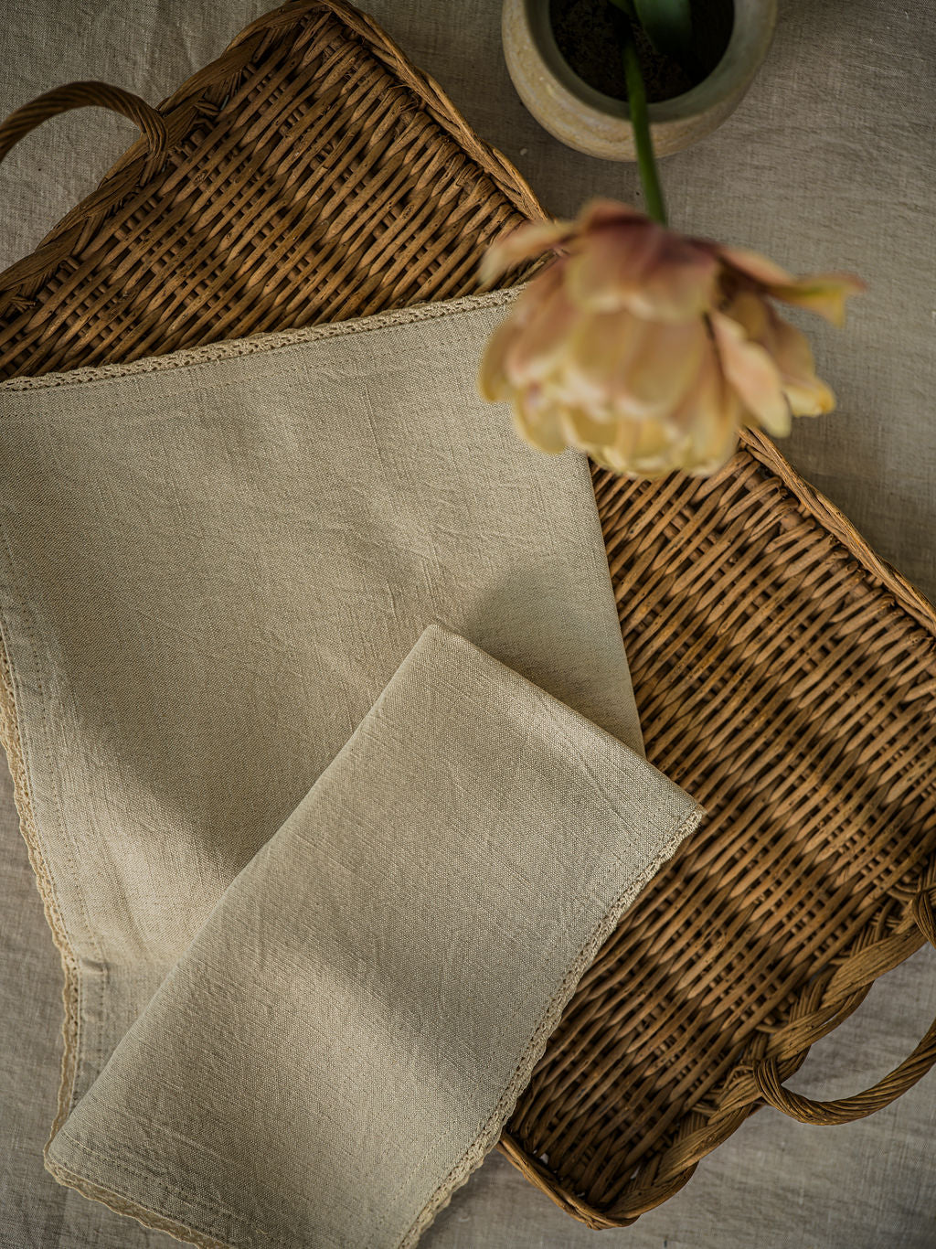Morgan Wright Linen & Lace Napkin, Natural  (Set of 4) - Image 3