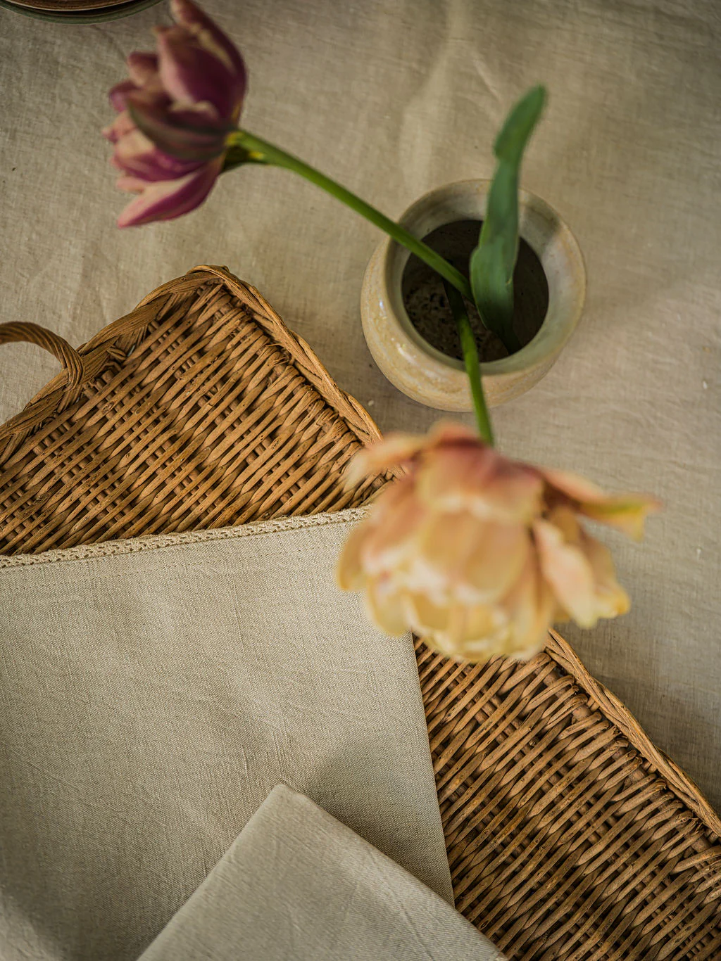 Morgan Wright Linen & Lace Napkin, Natural  (Set of 4) - Image 5