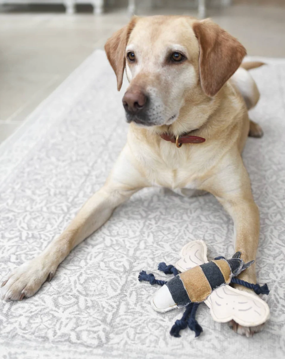 Sophie Allport Dog Toy, Bee - Image 3