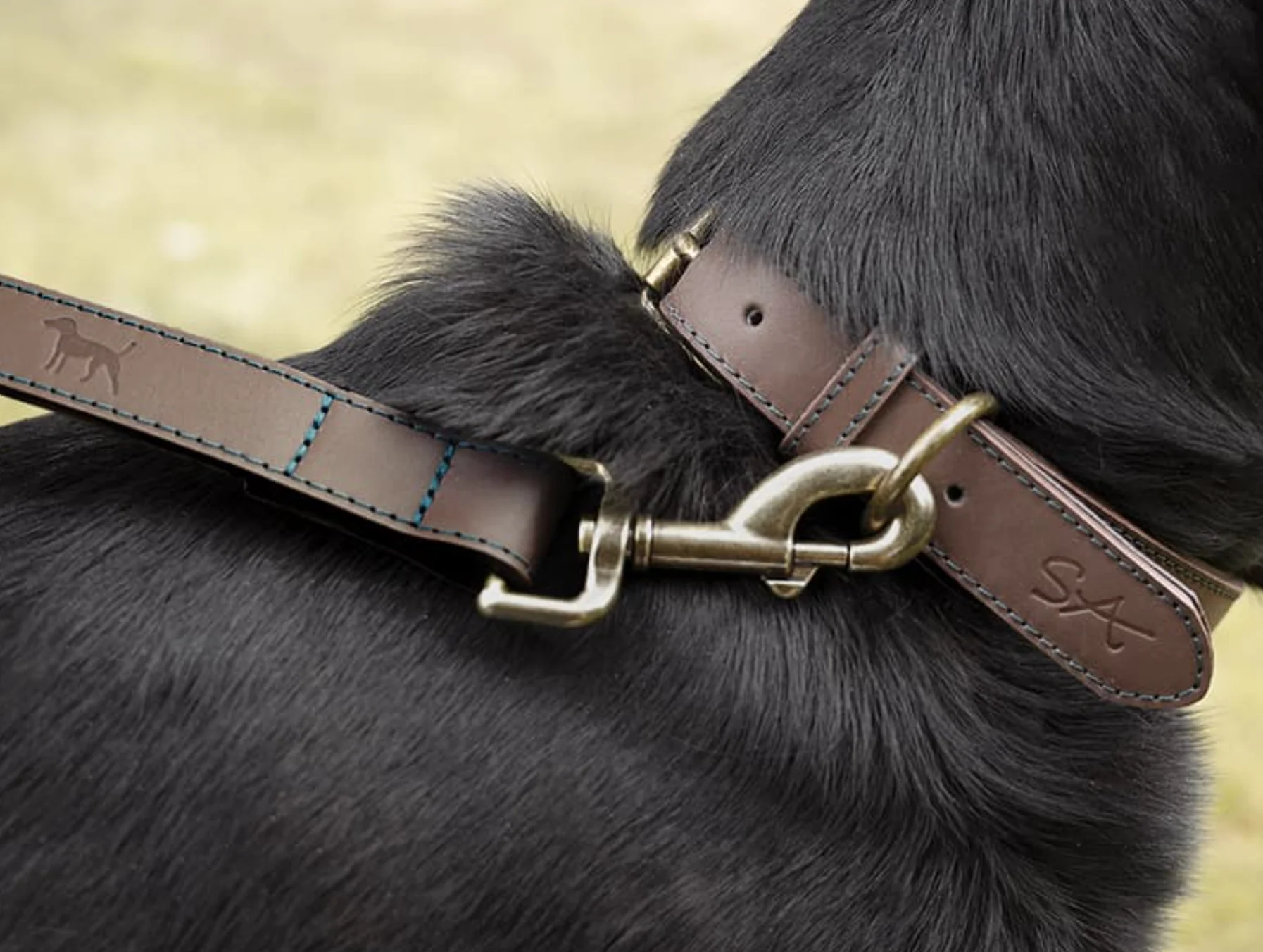 Sophie Allport Leather Dog Lead, Woof - Image 4