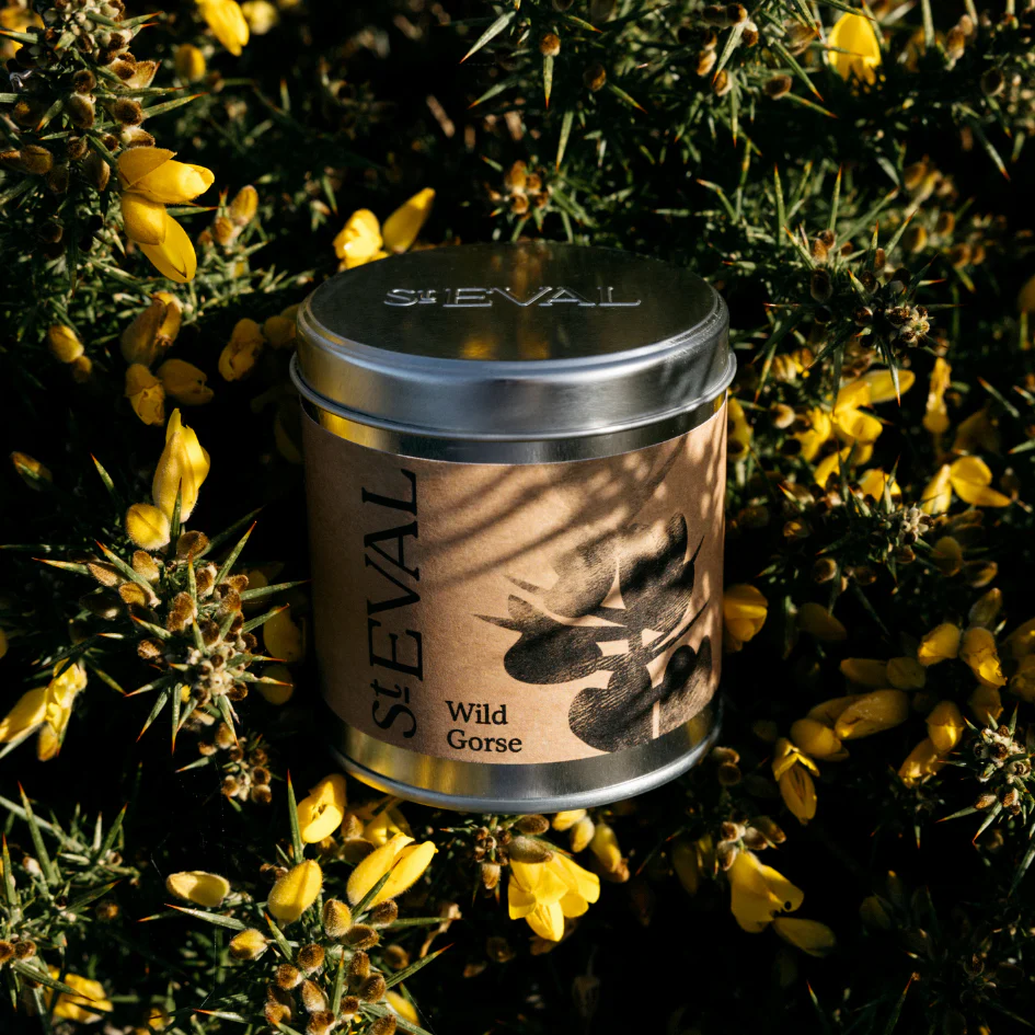 St Eval Wild Gorse Scented Tin Candle - Image 3