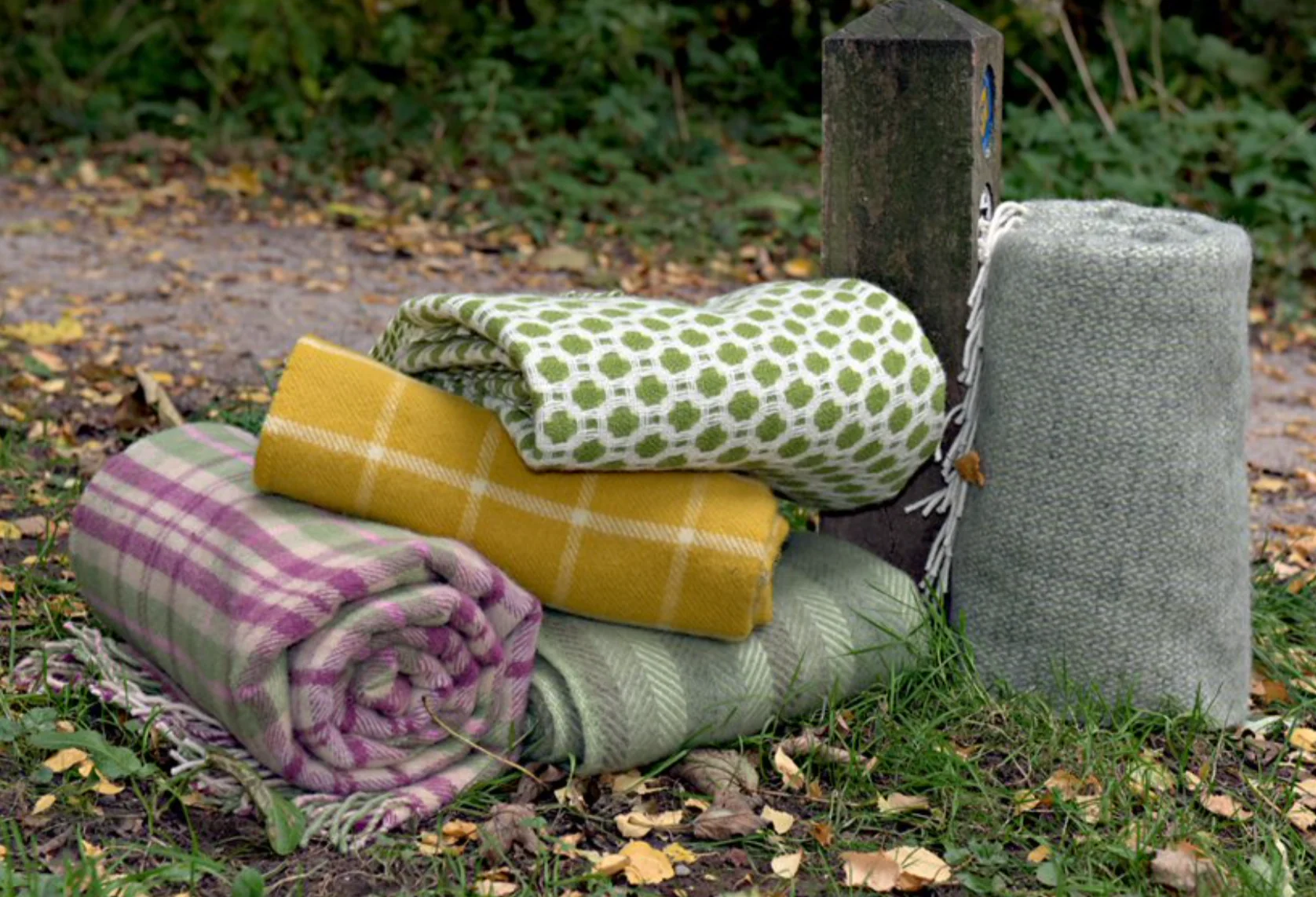 Tweedmill Cottage Check Pure New Wool Throw, Pink - Image 6