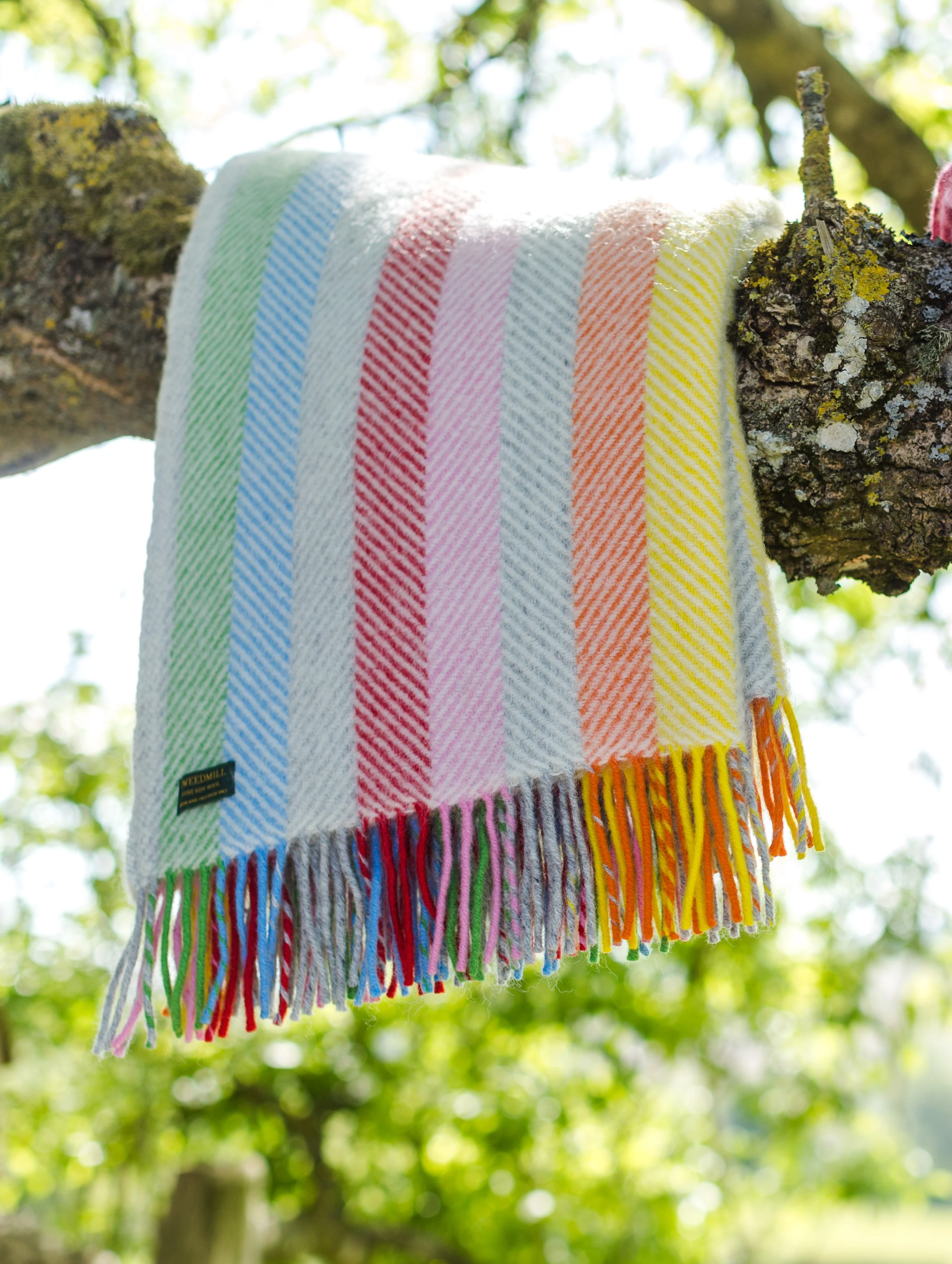 Tweedmill  Pure New Wool Throw, Stripe Rainbow - Image 6