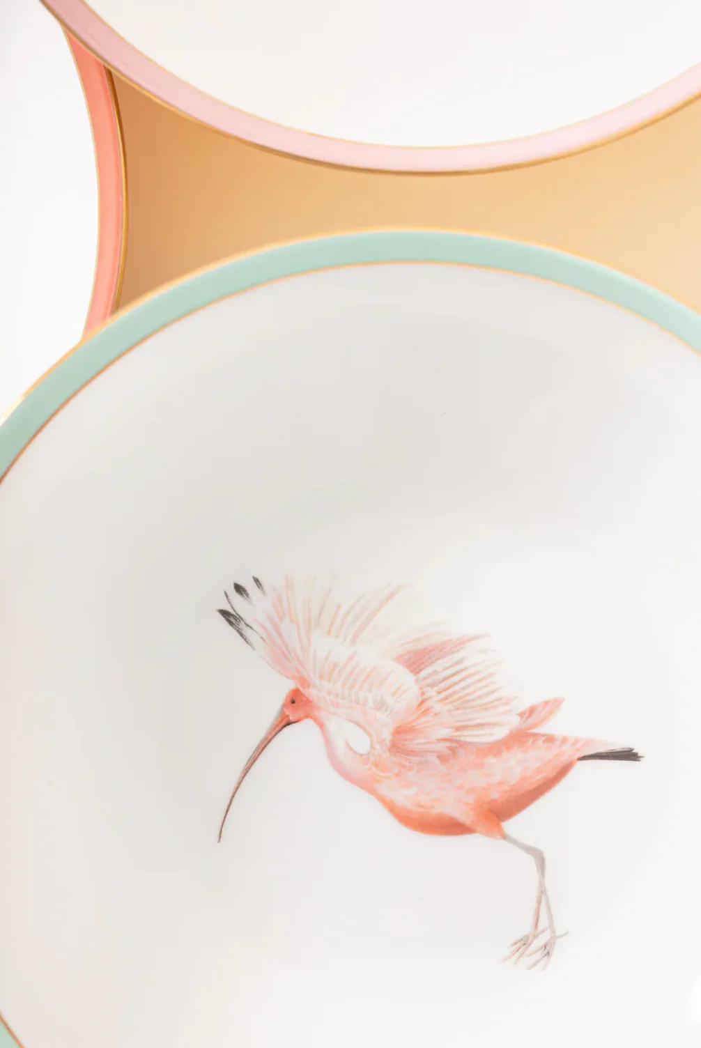 Yvonne Ellen Animals Pasta Plates (Set Of 4) - Image 4